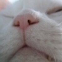 ゆりっち (@titijack) 's Twitter Profile