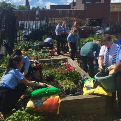 An inner-city, Kings Heath, Birmingham school, we take part in lots of exciting projects and want to share them with you too: recycling, planting, community...