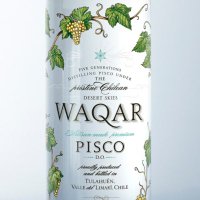 Pisco WAQAR (@piscowaqar) 's Twitter Profile