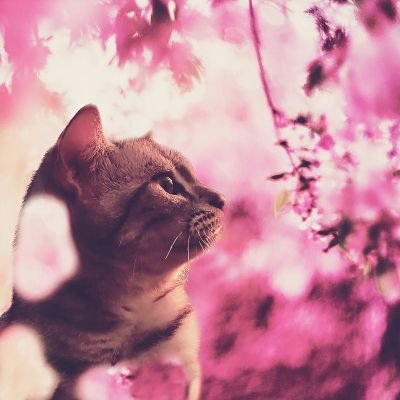 EyeNukoonMD's profile picture. Life is always a Test.