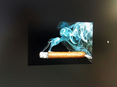 gelassen1's profile picture. 