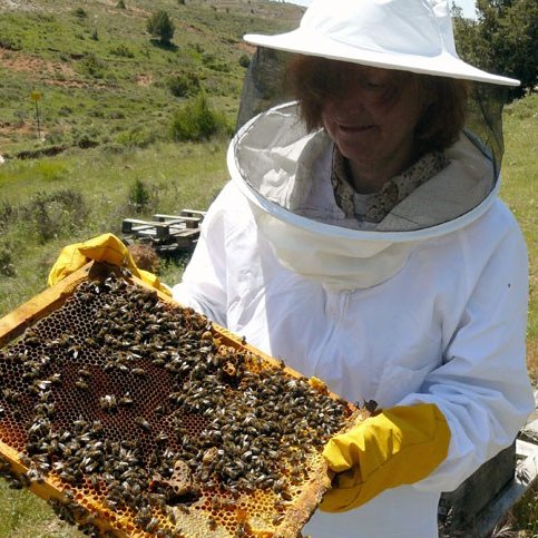 MielCuscurita's profile picture. Producimos miel de flores y otros derivados de la abeja en la provincia de Soria. casascuscurita@hotmail.com  619802154, 650690718 ¡No dudes en preguntar!
