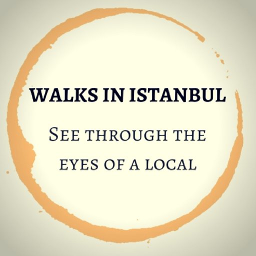 Your Customised Walking Tours With Scholarly Local Guides in Istanbul. Personal/Small/Authentic