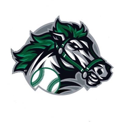 RoughRiders Baseball