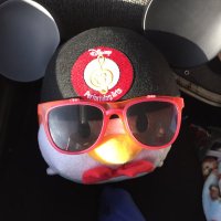 2017-2018 OFBand (@ofmarchingband) 's Twitter Profile