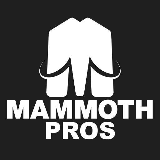 Mammoth Pros specializes in Tenant Improvement projects for all types of commercial buildings & business types. We are licensed, bonded, and insured.