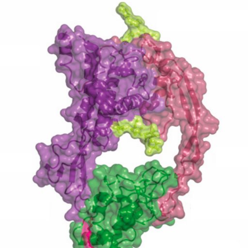 Twitterbot on Wnt signaling pathway publications #Wnt #PubMed