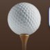 Golf and Other Spor (@GolfSpor) Twitter profile photo