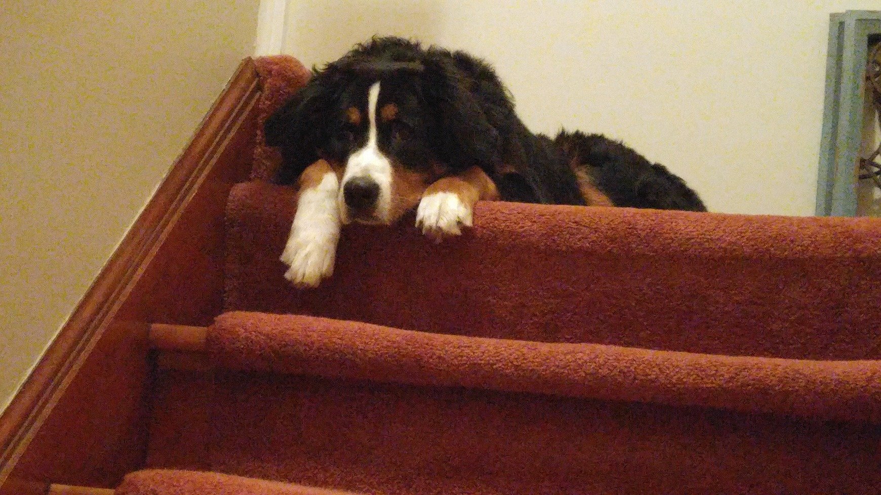 bwelg79's profile picture. 