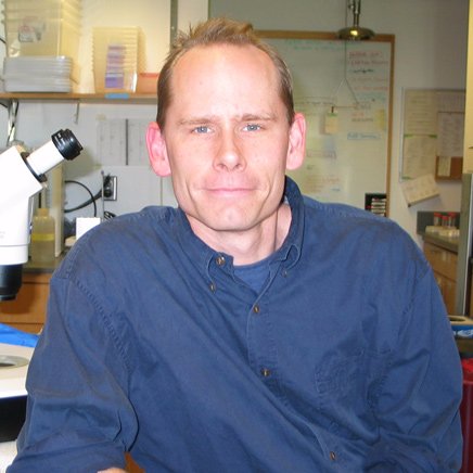 Professor of Biology, Duke University. Study cell invasion, basement membranes, stem cell biology in C. elegans. Play basketball at 6:00 a.m.