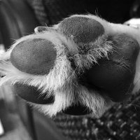 Jude Scott (@judescott1003) 's Twitter Profile Photo