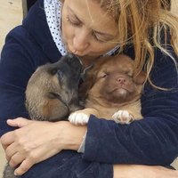 sevim arkan (@sevimarkan1) 's Twitter Profile