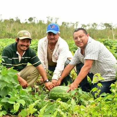 Presidente de la Red Independiente Por Un Mejor Q.Roo A.C.