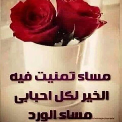 MohammadAltaee7's profile picture. 