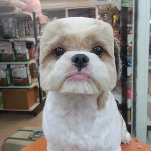 osweUjybV9qJE9Q's profile picture. 経験人数3桁セックスで生きてます。テク自信あり(笑) DMで連絡くれたら泣いて喜びますよ♪