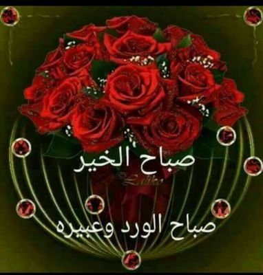 Osama03482935's profile picture. 