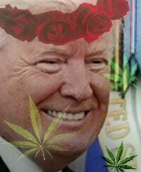 CProerdSquad's profile picture. Conta Oficial do Squad, se precisar de um ombro amigo, estamos aqui 😉