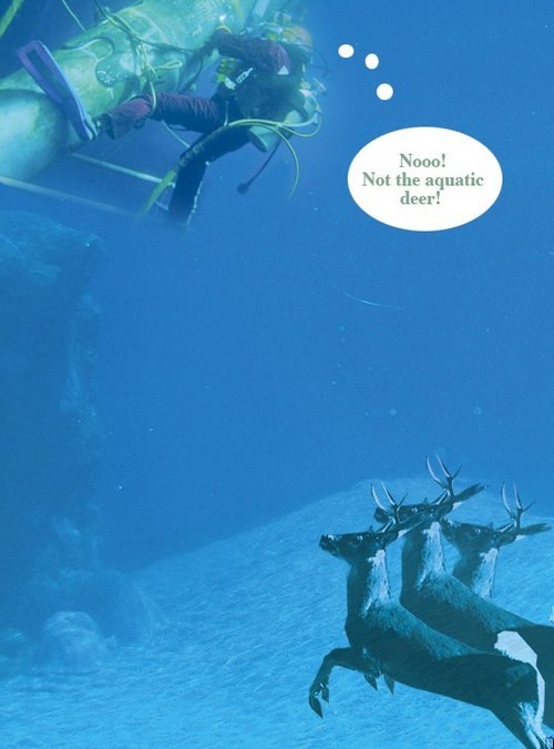 EHKCK's profile picture. I live in a world where silver birds sing during the purple dawn.