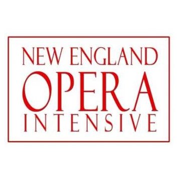 A three-week summer training program for singers specifically designed for opera performance.