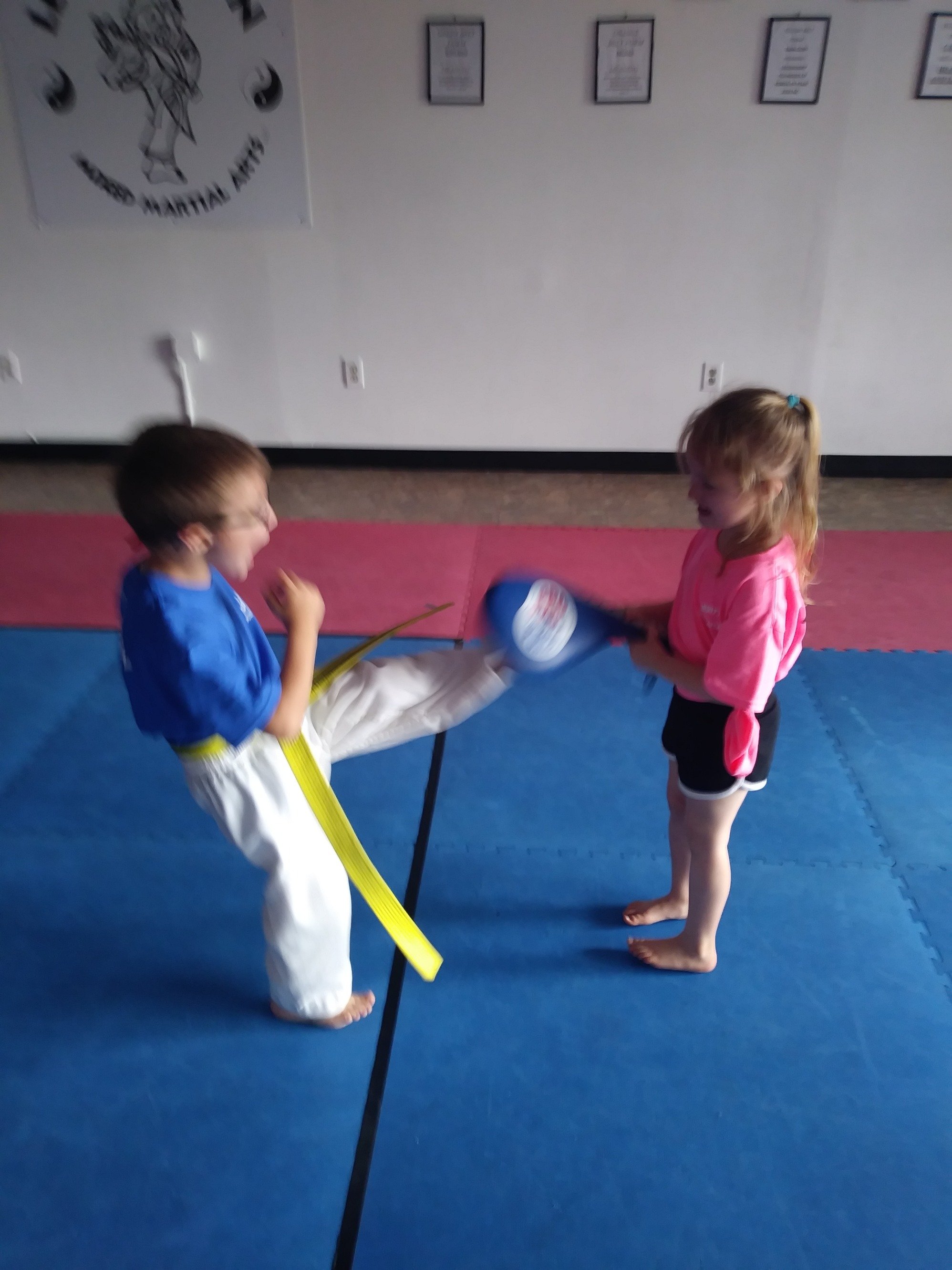 We are a mixed martial school in Levittown, PA. We have classes starting at age 2 all the up to adult. Call us today to get started at 267-901-4071.