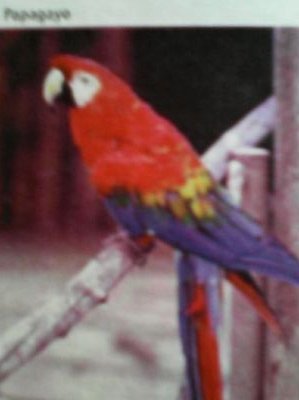 meridadelta's profile picture. De Venezuela mi patria querida. Amo la naturaleza, la verdad, la justicia. detesto el abuso, la mentira, la irresponsabilidad