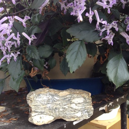 ryudaichigaku's profile picture. 琉球大学理学部物質地球科学科地球環境系（通称：ぶっちっち）の公式アカウントです。 地球環境系でのイベントや授業・研究の様子などについてつぶやきます。 https://t.co/9GNDcmWPrL