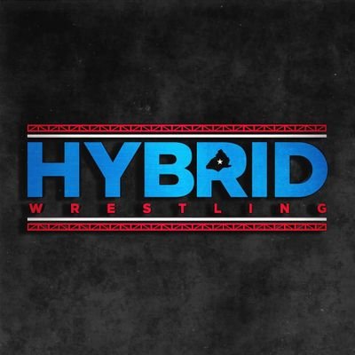Hybrid Wrestling