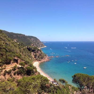 surf_nature's profile picture. 