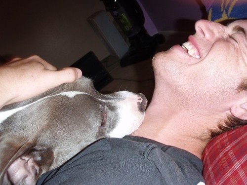 pittjp's profile picture. Montana. Tweets are my own, yo.