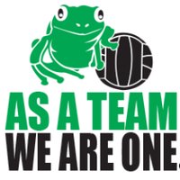 Precision One Volley (@precisiononevb) 's Twitter Profile
