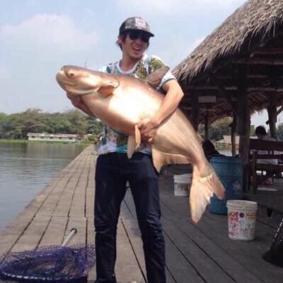 FishPapillon's profile picture. 、