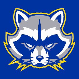 FHSRACCOONFB Profile Picture