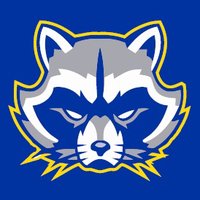 FRISCO HS FOOTBALL (@fhsraccoonfb) 's Twitter Profile