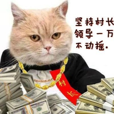 tyz1648's profile picture. 