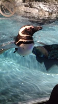 海羽さんのプロフィール画像
