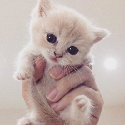 Maya321254's profile picture. 