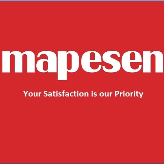 Sales_Mapesen's profile picture. 