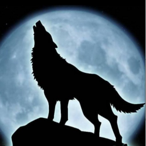 PatrykMCegielsk's profile picture. Live free or die trying