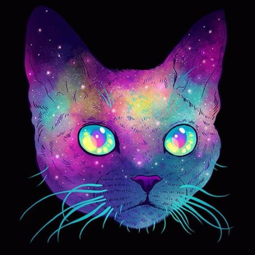 ArtKoteus's profile picture. 🖥️ #seo #web #Joomla #design #game for true cat:)  Everything will be fine!