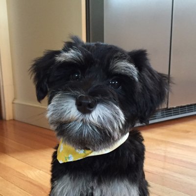 MarkLeipold's profile picture. Father, Friend, and Lawyer.  Ardent Fan of Northwestern Football.