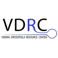 VDRC (@vdrc_flies) 's Twitter Profile