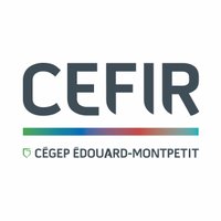 CEFIR (@cefirr) 's Twitter Profile Photo CEFIR (@cefirr) 's Twitter Profile Photo