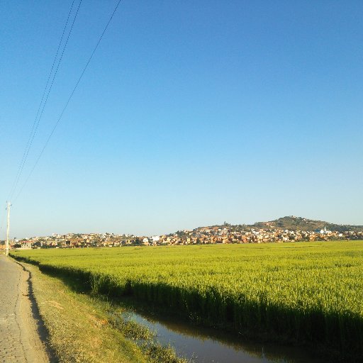 Sharing inspiration, Learning to be still, Realize the #Self ... #Peace & a lot of #Love -- a way of Life ;) #AlefaBarea