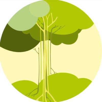 Aplicando la investigación en la resolución de los problemas cotidianos de nuestros pacientes, involucrando a la familia y a la comunidad.