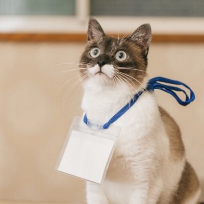 qoPdp8KUea1Zsjg's profile picture. 依頼はメッセージかリプでお願いね