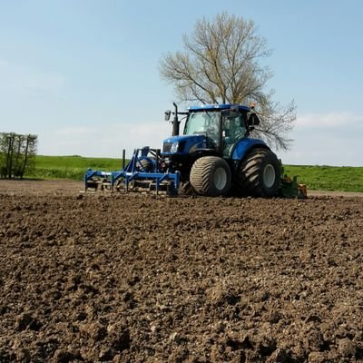 jarnesinke's profile picture. 