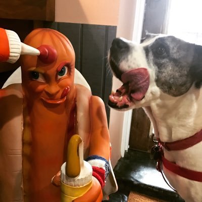 SaintMartinsMtP's profile picture. A basement hair salon with an amount of charm. Oh, and beer.