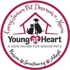 Young at Heart Senior Pet Rescue