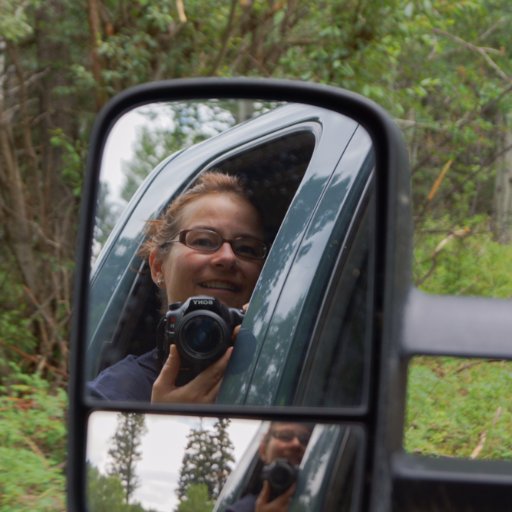 CariRubin13's profile picture. Irish Wolfhound Lover, #Steamboat Springs #PetTherapy All work Copyrighted, #Chocoholic #CoffeeDrinker Life is 2 short 2 be unhappy