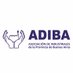 Asociación de Industriales de Buenos Aires 🏭 (@adibapyme) Twitter profile photo